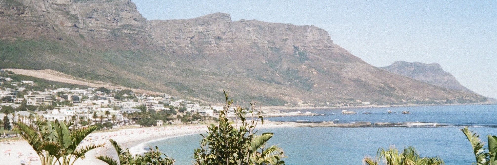 Profile Banner