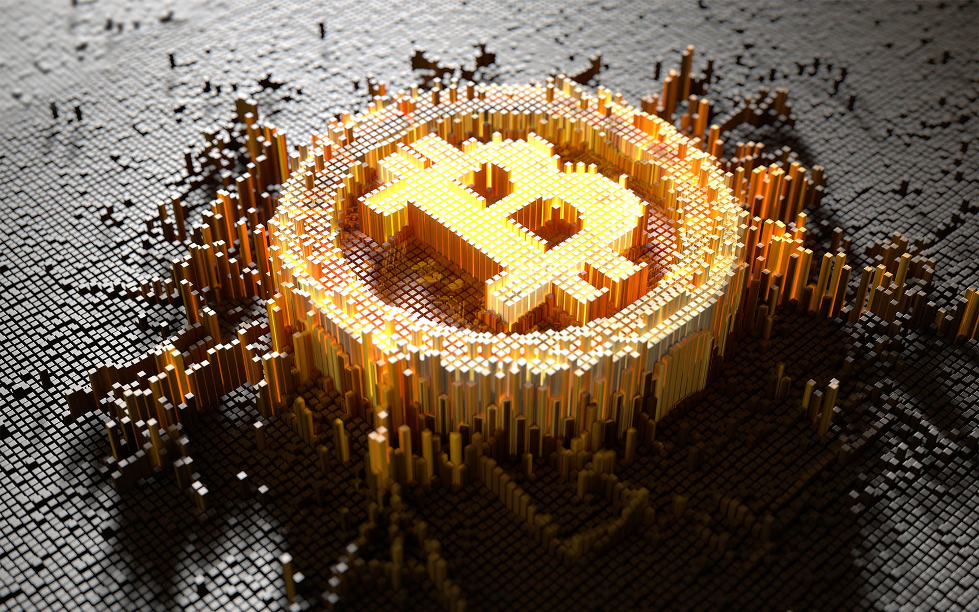 Profile Banner