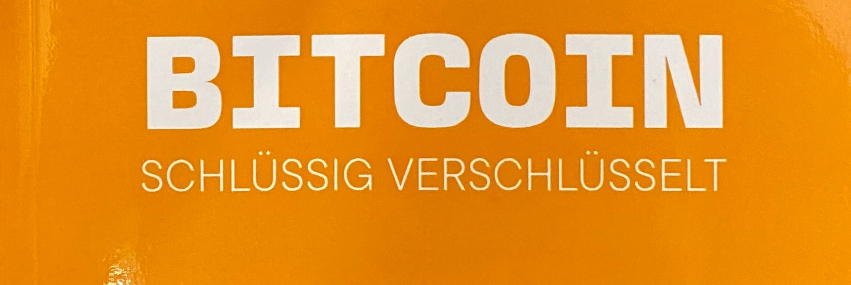 Profile Banner