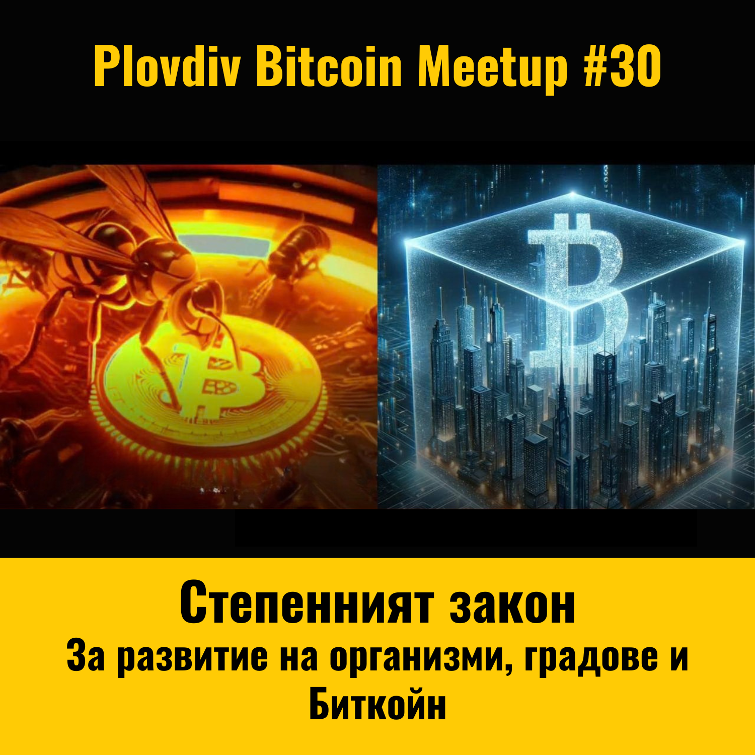 Универсалният степенен закон на развитие на организмите, градове