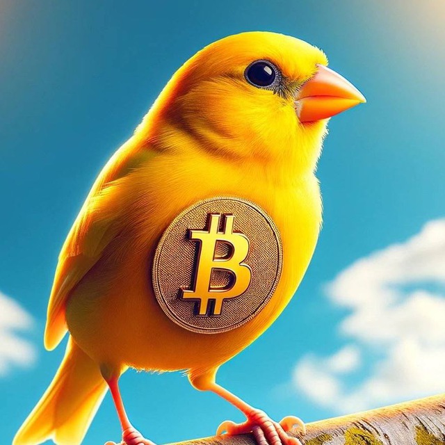 Plovdiv21 Bitcoin Community logo